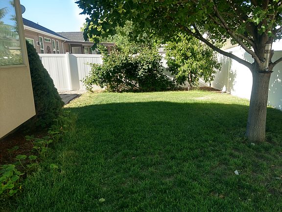 Backyard Fruit Garden