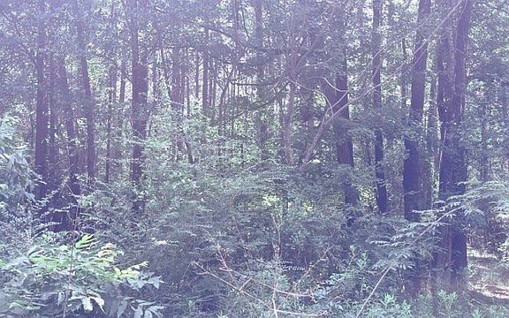 3rd image of Pid 15855 County Rd #2775