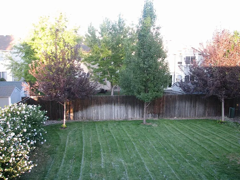 Back yard with landscaping