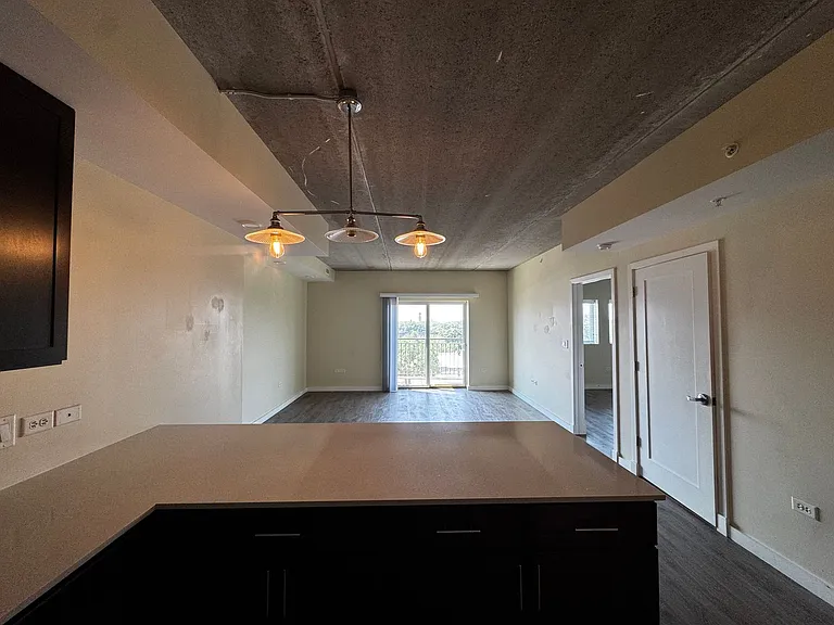 Gorgeous Historical Apartments Near Beach in East Rogers Park — Photo 97