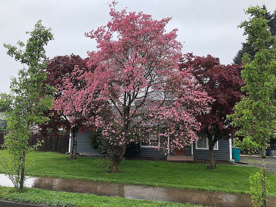 1st image of 10210 NE 124th Ave