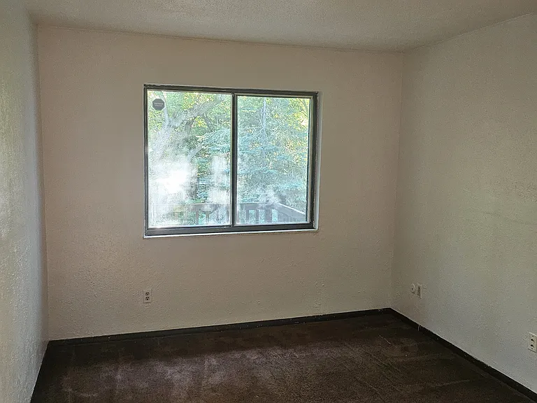 1666 Brownstone Blvd #524 — Photo 10