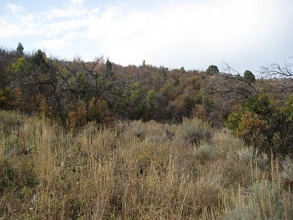 4th image of 205 Timber Lakes Est