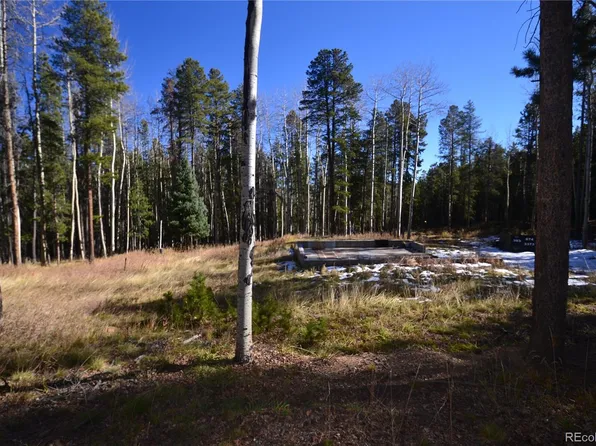 3 Ute Trail LOT 8-G, Evergreen, CO 80439