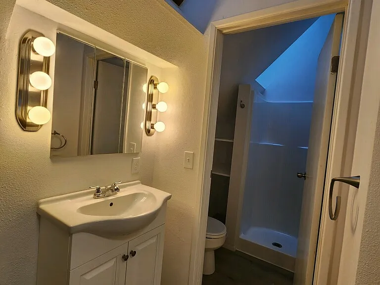 New Bath with Sky Light