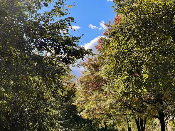 34 Butler Place image 1 of 10