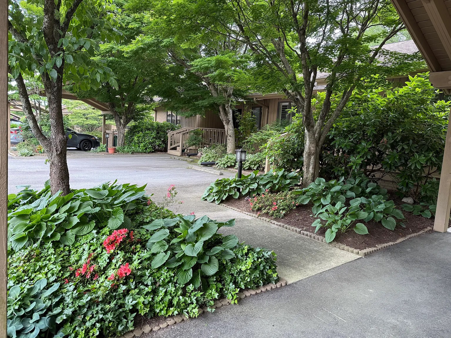 704 Red Oak Dr — Photo 4
