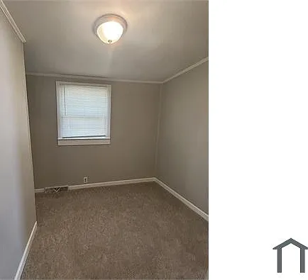807 Adams Ct — Photo 12
