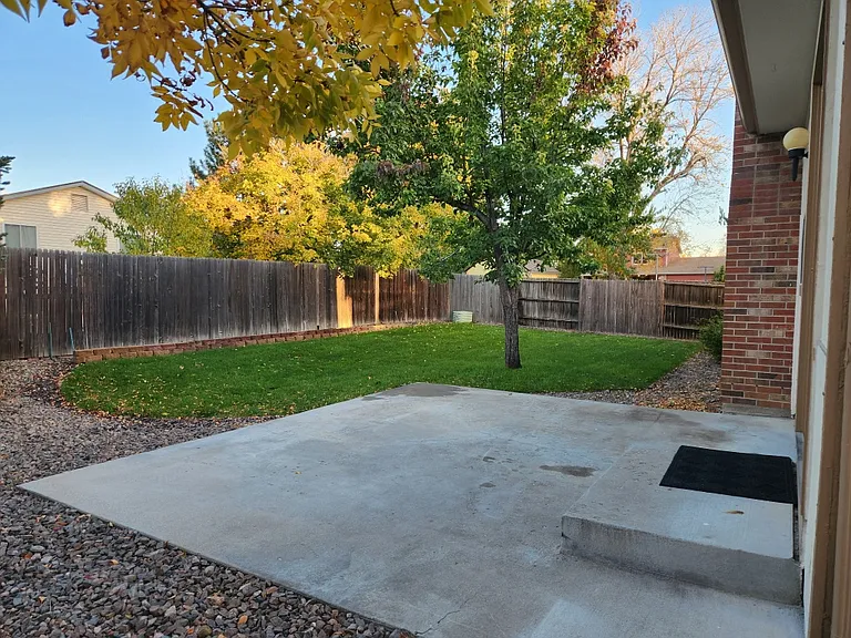 Fresh sod in the backyard, along with a large concrete patio great for entertaining and relaxing.