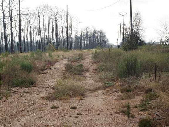5th image of 1030 E State Highway 71