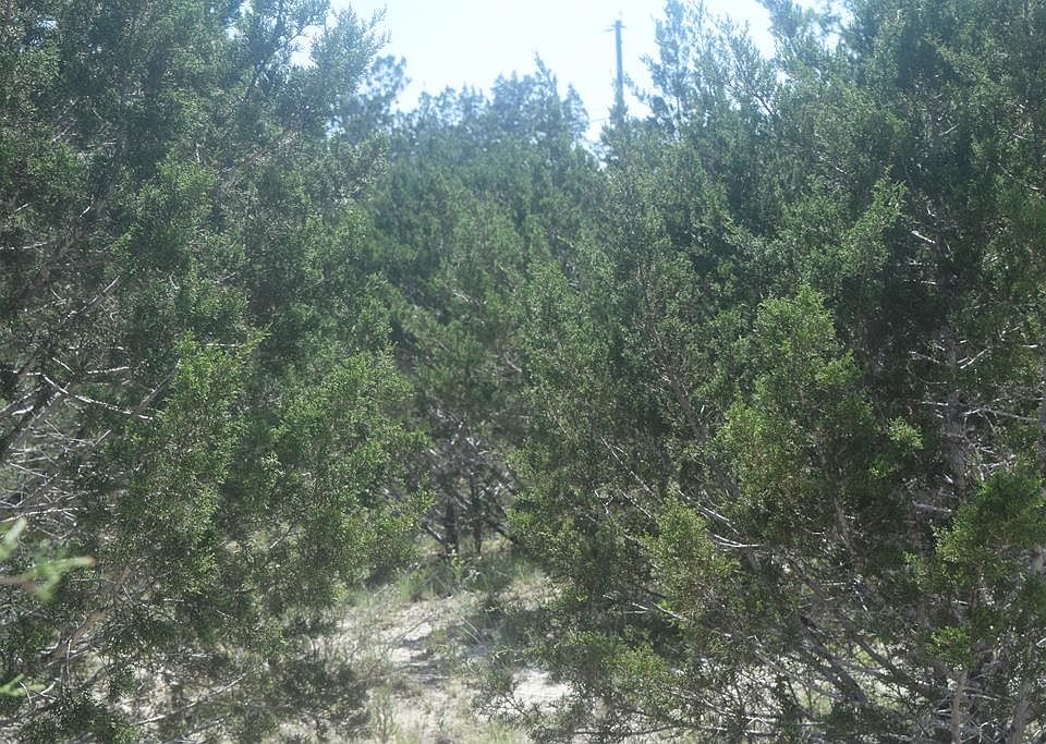 1st image of Sunridge Sw Sunridge