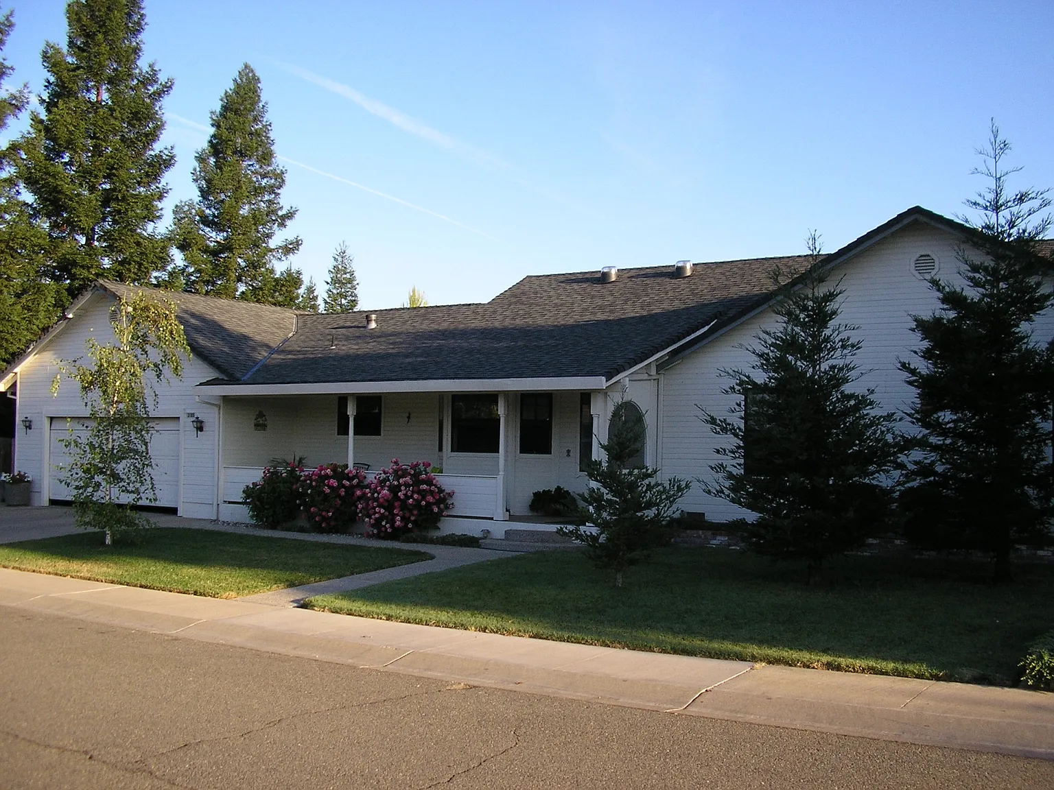 3185 La Mantia Dr photo 1