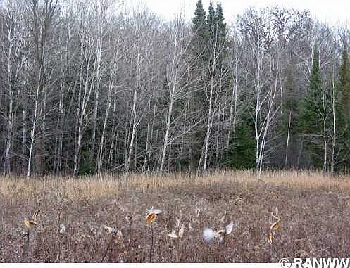2nd image of 0 Forest Edge Road