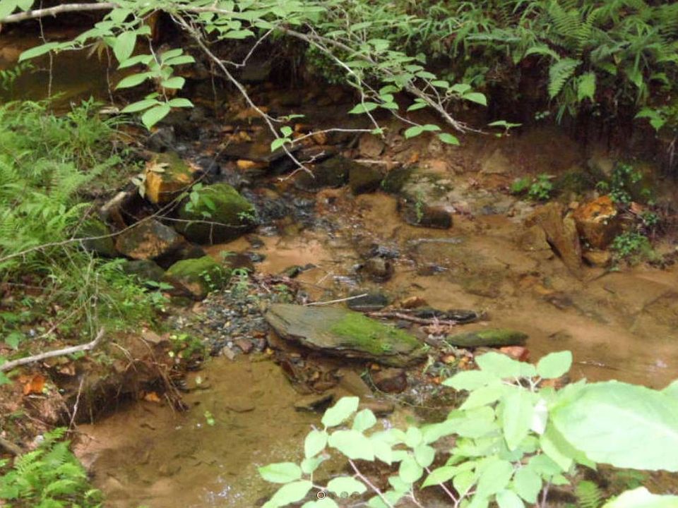 2nd image of Shiloh Ct