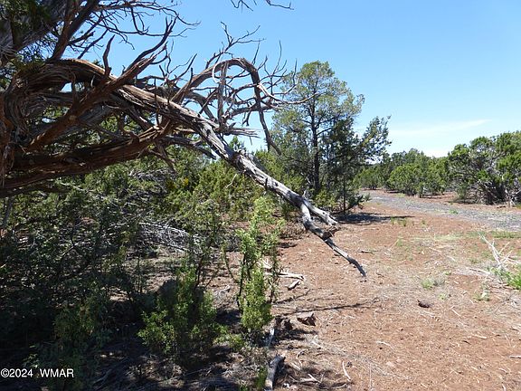 3rd image of 202 County Road 3158 Lot 125