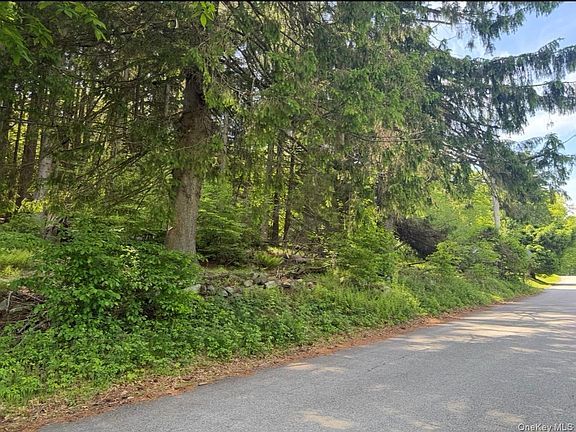 3rd image of Mountain Road N