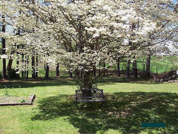 Springtime-back yard