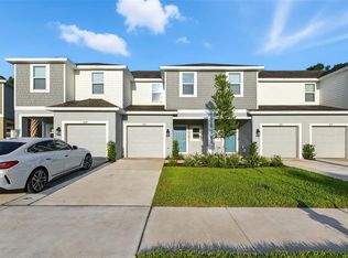 2111 Hallier Cv, Wesley Chapel, FL 33543