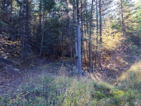 Gut Creek Rd, Rexford, MT 59930