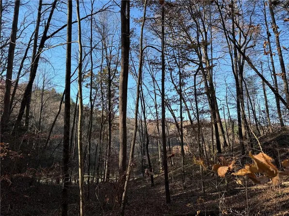 0 Whitepath Rd #2, Ellijay, GA 30540