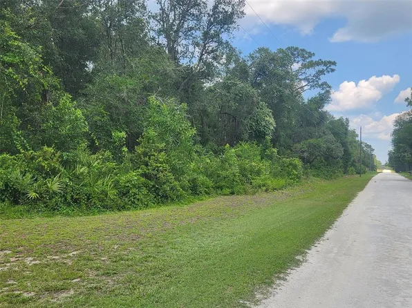 33063 Easter Dr #10, Webster, FL 33597