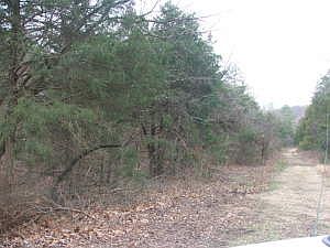 2nd image of County Road 250