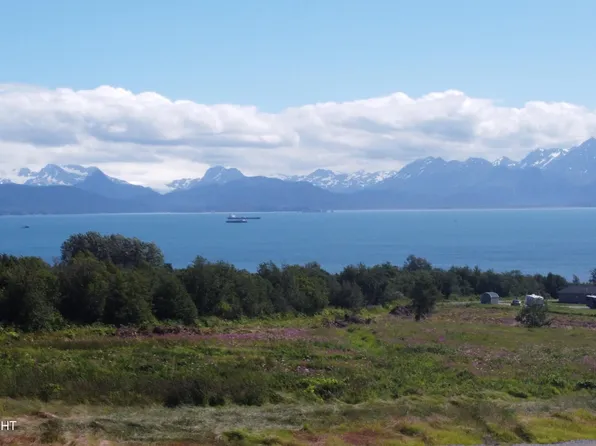 41151 Wandering St, Homer, AK 99603