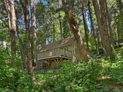 547 Blue Jay Canyon Rd, Blue Jay, CA, 92317