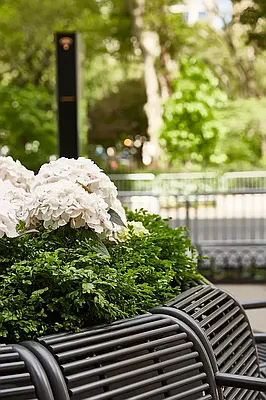 Rented by R New York | media 8