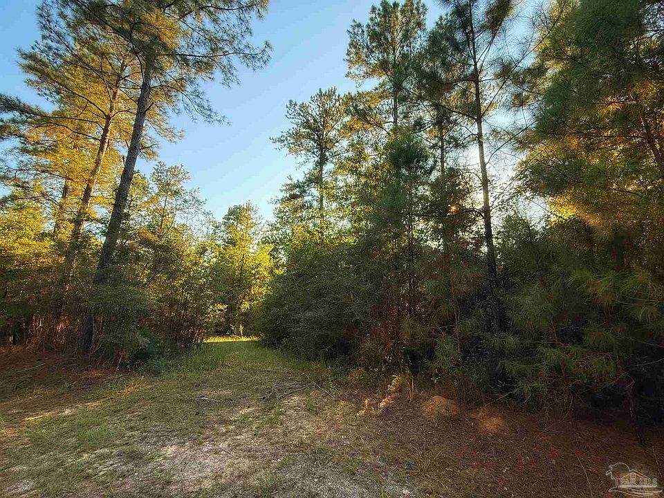 2nd image of 0 Loblolly Ln