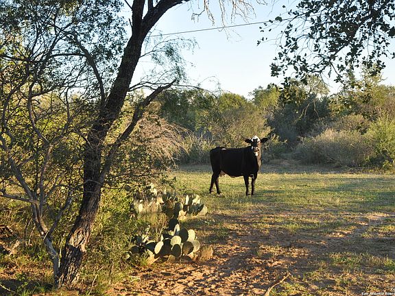 3rd image of 000 County Road 733