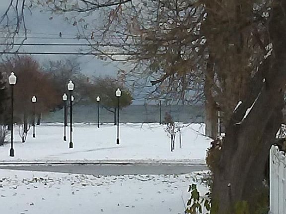 Winter view from kitchen