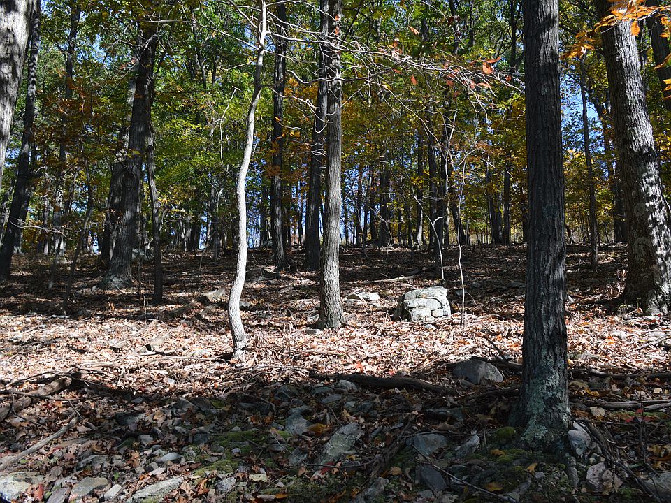 2nd image of 0 Back Country Rd