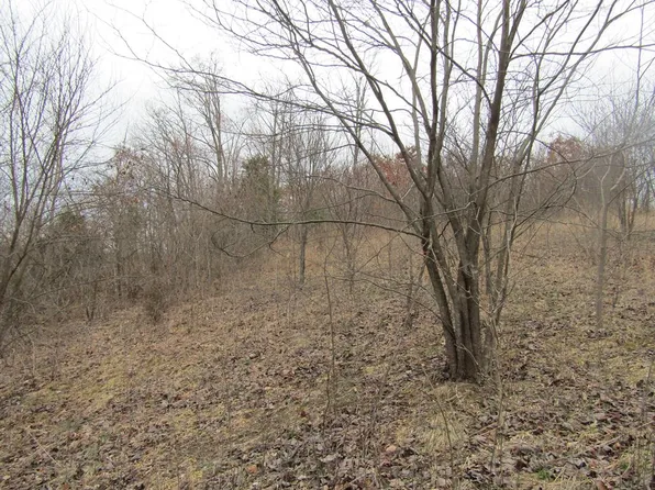 43 Upper Crab Rd, Jamestown, TN 38556