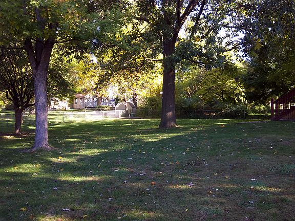 apple, oak, maple trees