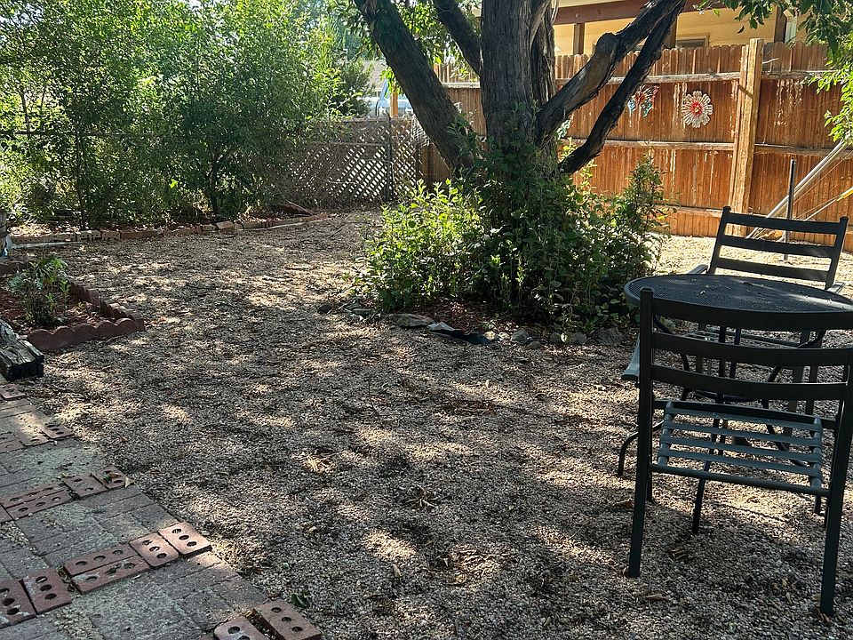 Yard with apple tree