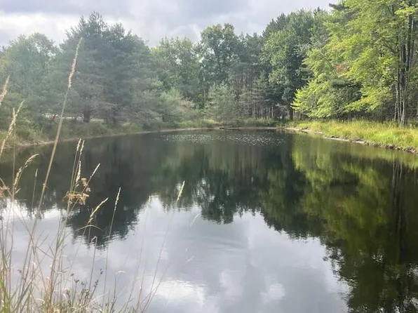 2269 W Treml Rd, Free Soil, MI 49411