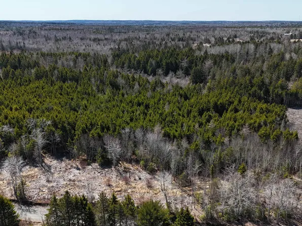 LOT 2 Marc Comeau Rd, Clare, NS B0W 2L0