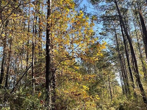 2nd image of Delaware Ave