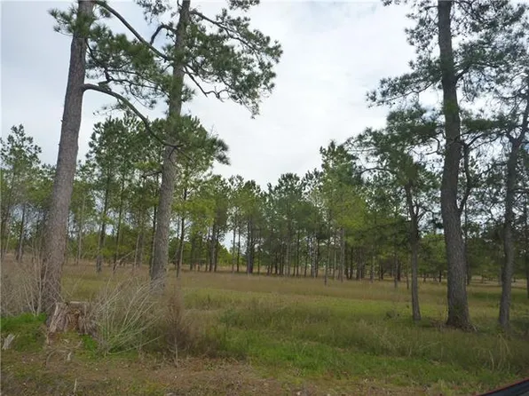 6853 Lognion Rd, Bell City, LA 70630
