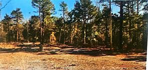 1st image of 120 County Road 1784 #63