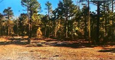 County Road 1784 #63, London, AR, 72847