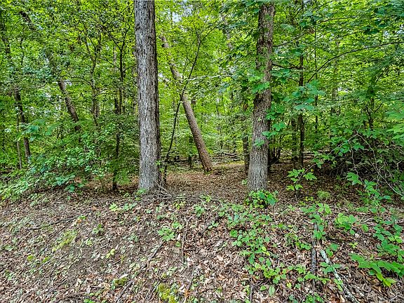 2nd image of 0 Pistol Club Rd