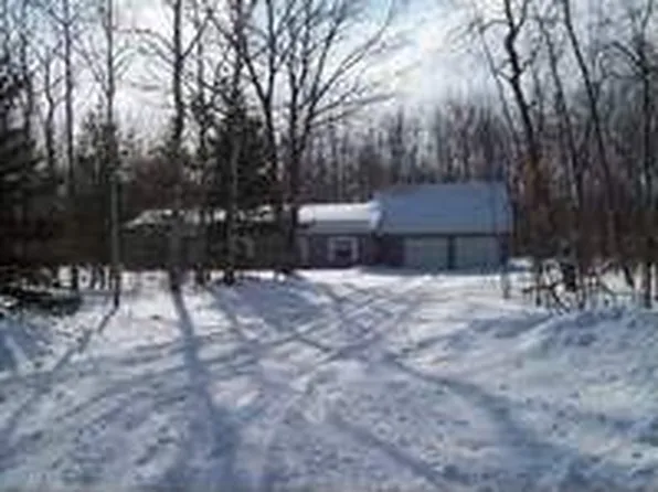 6708 Tremble Trl, Pellston, MI 49769