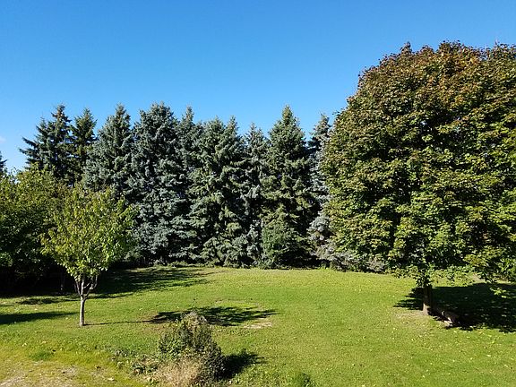 Wonderful 1 acre Lot