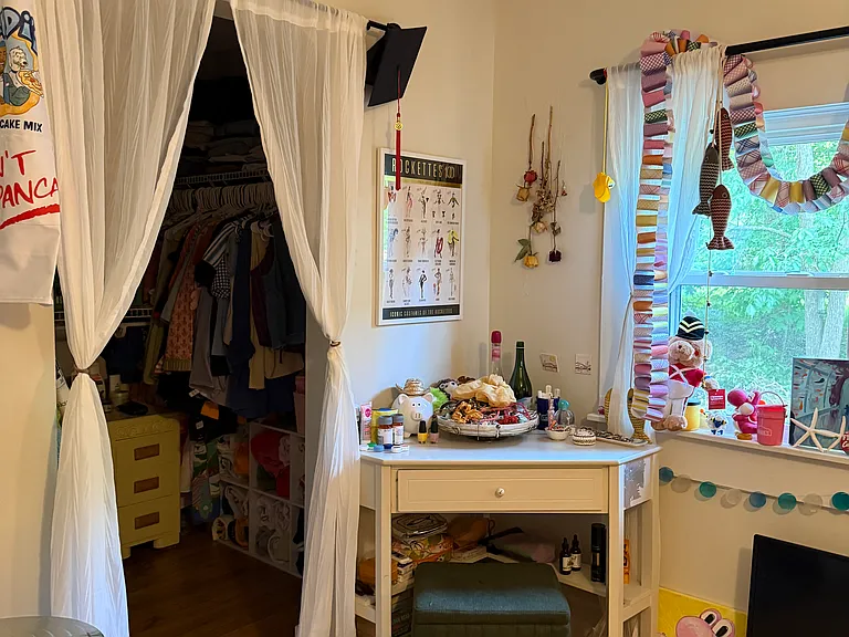 Bedroom #2 - has a walk in closet