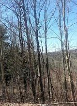 2nd image of 85 Watrous Rd