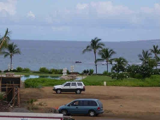 Whale watching from your lanai.