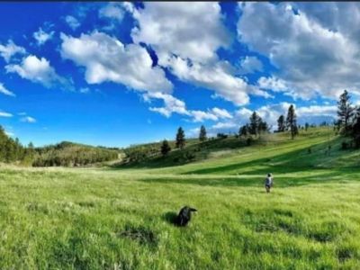 24435 Medicine Mountain Rd, Custer, SD, 57730