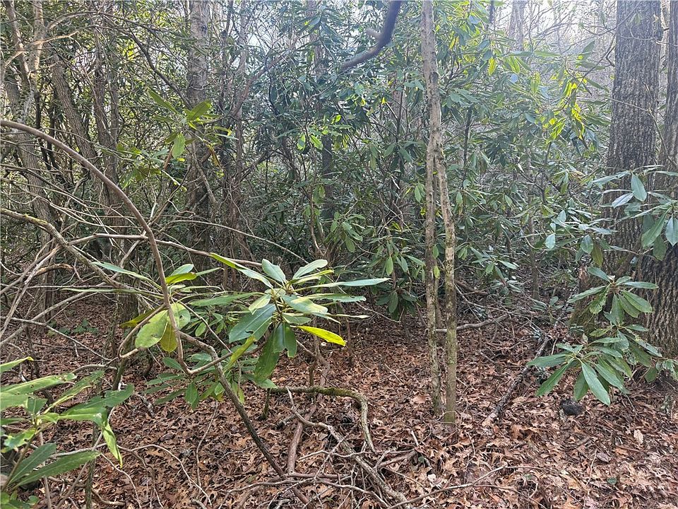 1st image of TBD Huckleberry Knob Lane